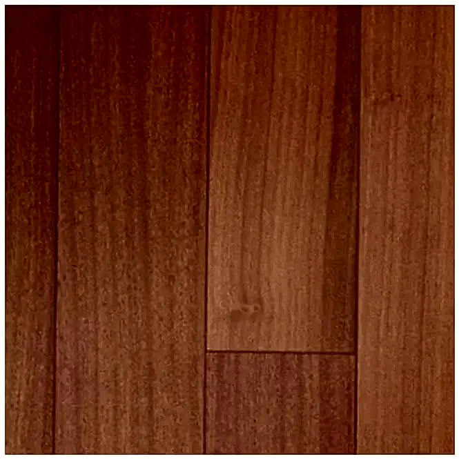sapelli 9cm 1