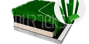 magic grass cim hali