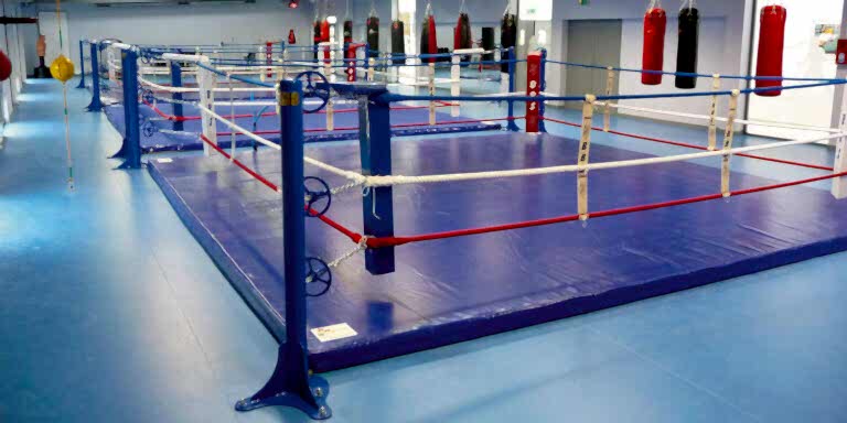 Omnisports Training