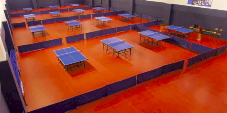 Table Tennis