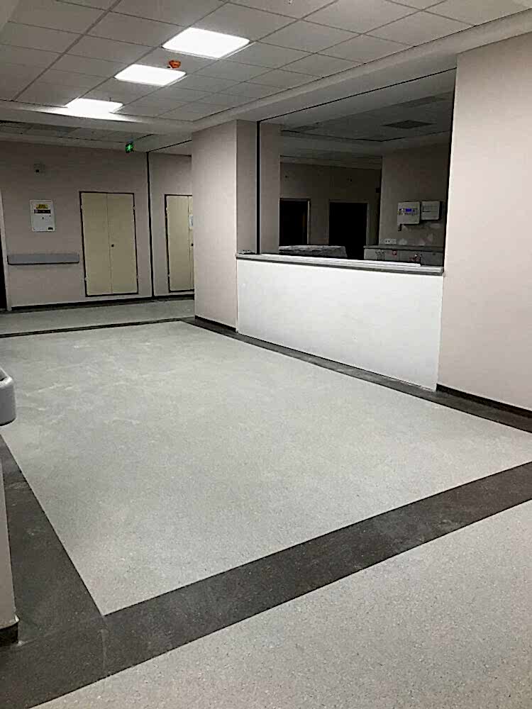 dokuz eylul universitesi 2